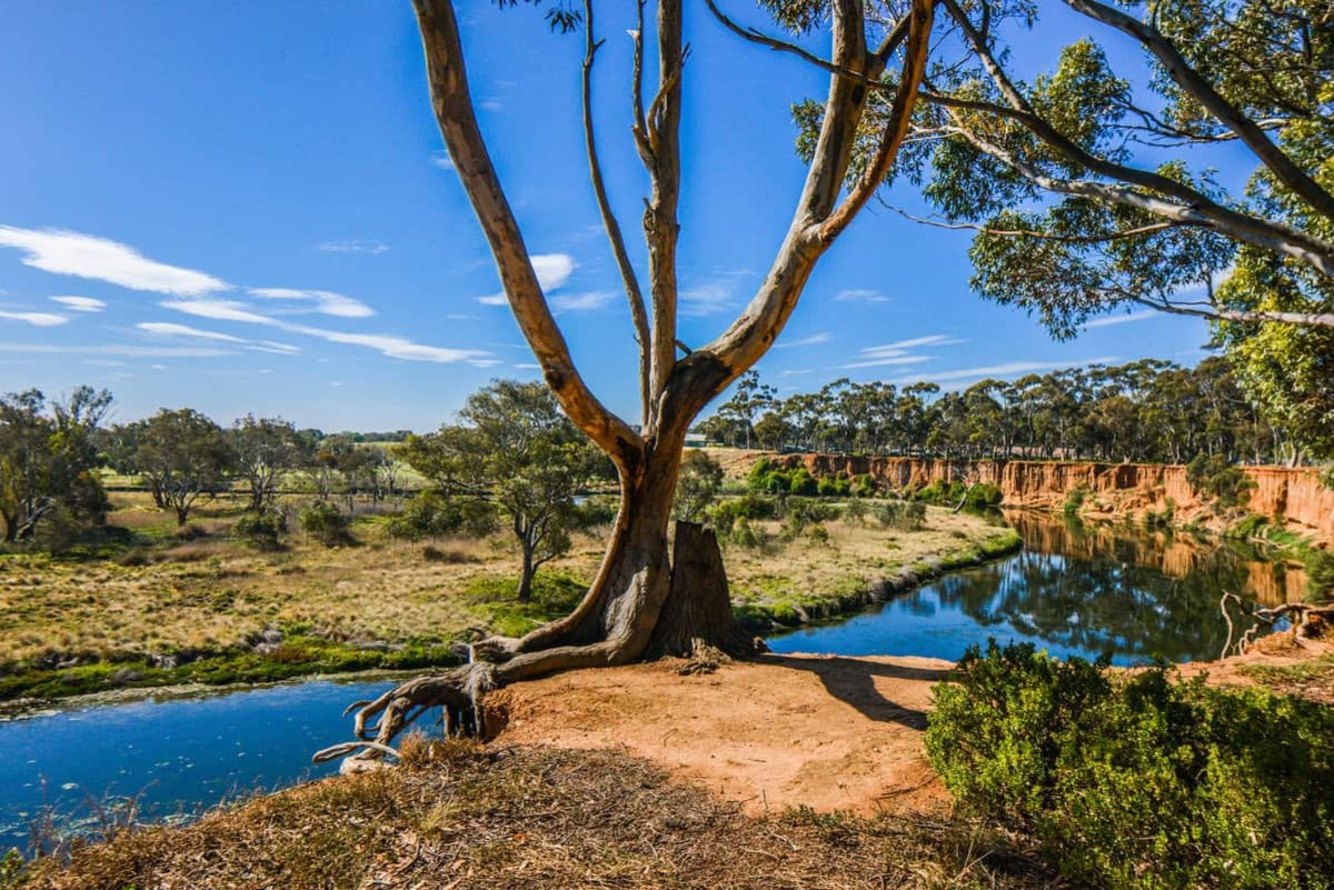 River Trail in Werribee Victoria