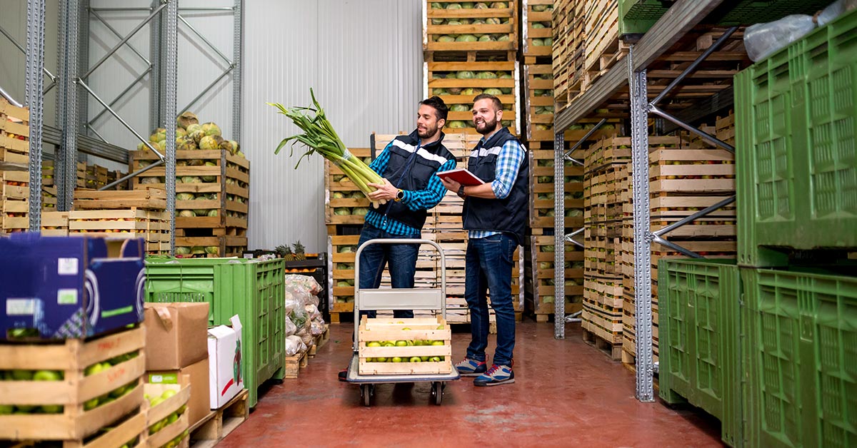 Pallets of Food A Comprehensive Analysis of Food Supply Chain Logistics