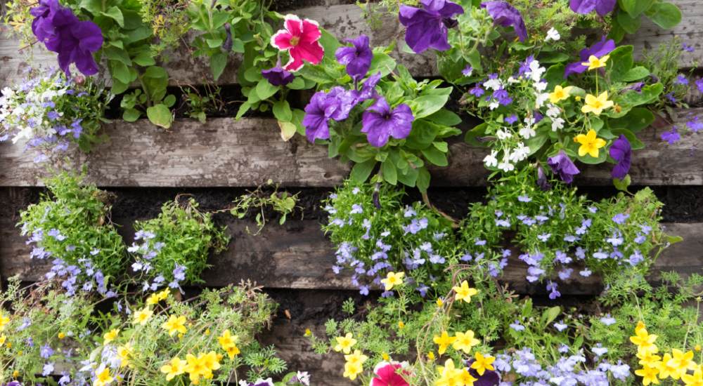 planter boxes upcycled